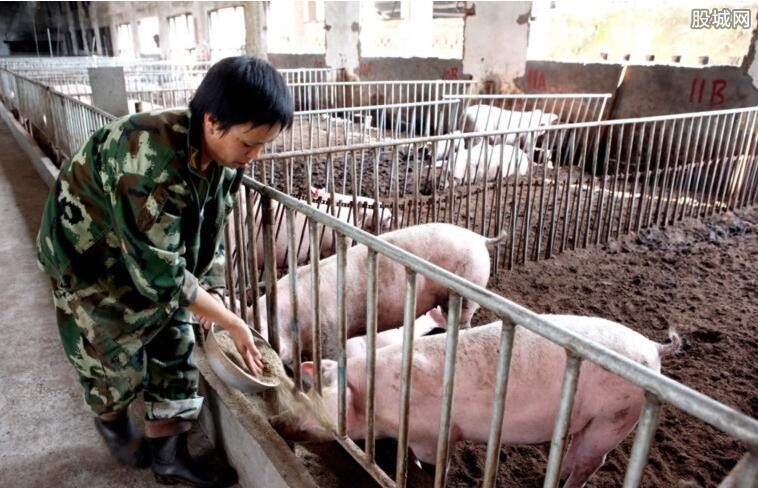 生猪价格单周上涨3.59%