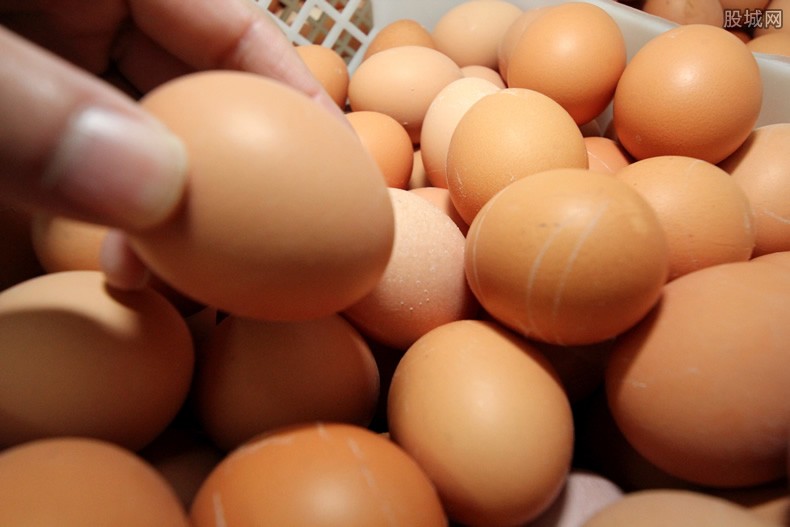 美国开售人造鸡蛋 人造鸡蛋会受到市民喜欢吗？