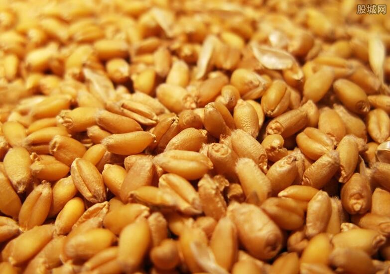 小麦价格或上涨