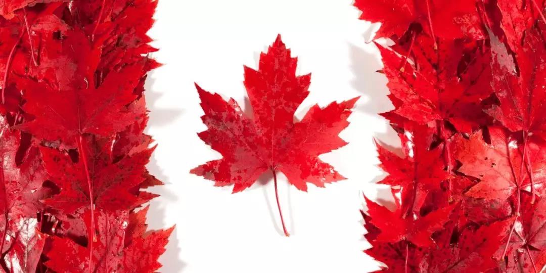 2020年加拿大魁省投资移民即将全球重开！