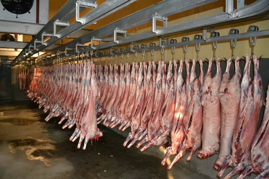 储备冻肉来了，猪肉价格是不是涨到头了？
