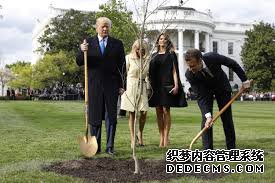 特朗普达沃斯演讲：种一万亿棵树 我们加入