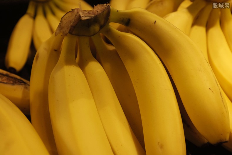 香蕉价格