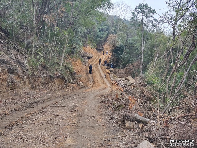 实探农夫山泉项目：毁林情况仍在调查 将恢复植被